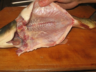 We take one crucian and make a small incision under the head of the fish